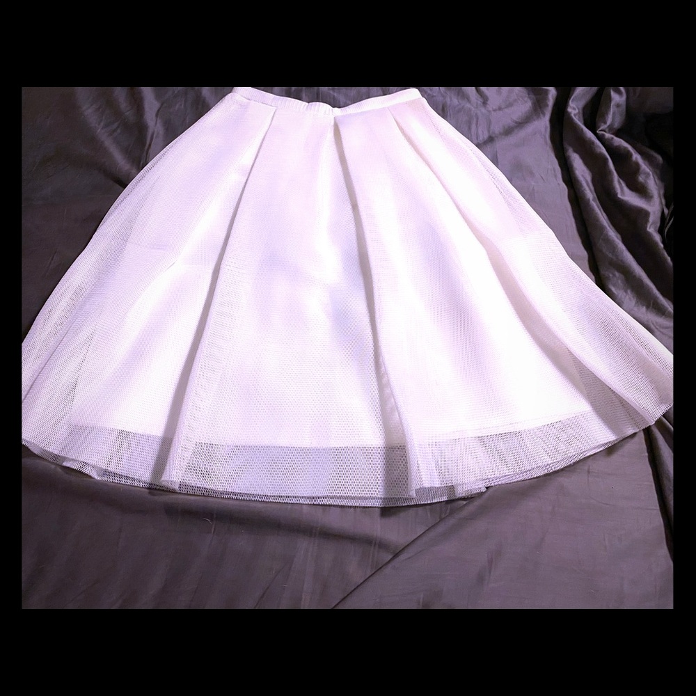 Sophisticated Skirt